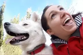 狗狗的“50个冷知识”，养狗人必知图片