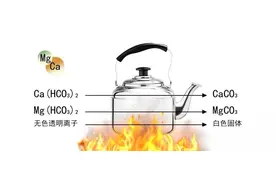 为什么烧开水后，浮现出一层白色？喝了对人体有害吗？图片