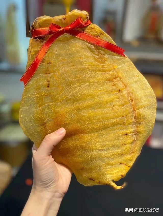 大口赤嘴鳘鱼胶的鉴别 2026年大口赤嘴鱼胶是不是野生