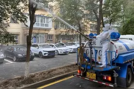 恼人小黑虫，今年为啥这么多？图片