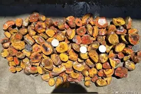 宣化瑰宝，上谷战国红玛瑙图片