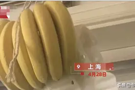 上海一女子将香蕉挂门边防烂，半夜香蕉全“逃跑”：只剩皮挂原地图片