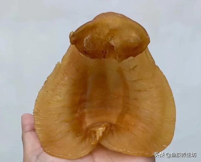 黑鳘鱼胶图片 2026年黑鳘鱼胶是什么品种