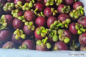 2023山竹价格多少钱一斤？图片