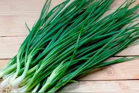 保存香葱，别直接放冰箱，教你3个妙招，放1个月也新鲜，随吃随取图片
