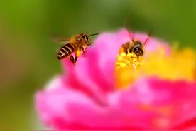 人生也就一辈子，想做的事就去做，想怎么活就怎么活图片