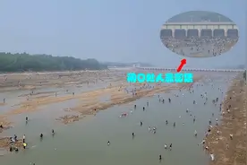 嶂山闸关闸大鱼搁浅，引发“万人捕鱼盛会”，捞条青鱼可卖260元图片