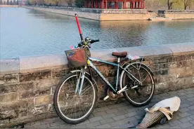 男子竟在故宫护城河钓鱼，还钓起一米长“草鱼王”，随后赶紧放生图片