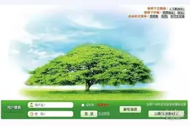 网事春秋｜榕树下：缘起网络，情于树下，终于流年图片