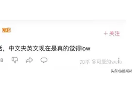 “中文夹英文现在是真的觉得low”图片