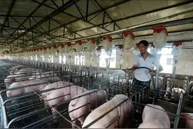 没有手续的养殖场算不算违建？今天才看明白图片