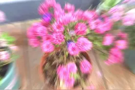 教大家如何在手机里最快的从视频里截取你想要的相片图片