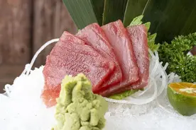 原来金枪鱼有这么多种！有的身价千万，有的价格亲民图片