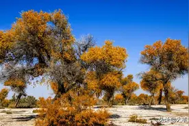 北方土壤为什么呈碱性图片