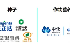 普创空间：农化新巨头——先正达集团图片