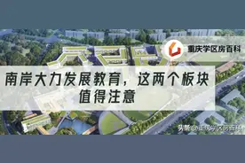 南岸区的这份「教育规划」文件，透露出未来的发展方向图片