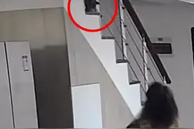 四川一猫妈为省事将小猫推下楼梯，主人路过懵了：生了8个太累了图片