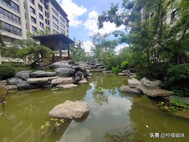 合肥排名前7的新富人区是哪些？