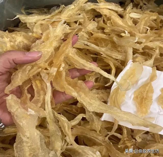 巴沙鱼胶的功效 2026年巴沙鱼胶的功效与禁忌