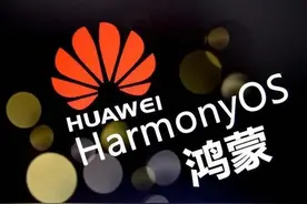 终于解决了华为P20pro鸿蒙系统经常死机重启的问题图片