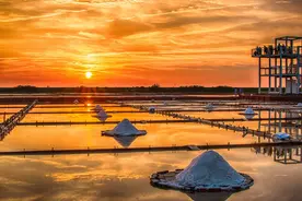 牛羊舔砖乱象：工业盐做原料、驱虫治病忽悠人，养殖户花冤枉钱图片