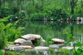 泰安肥城周边1日自驾游好去处推荐图片