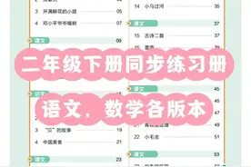 二年级下册语文，数学同步练习册～各版本都有！图片