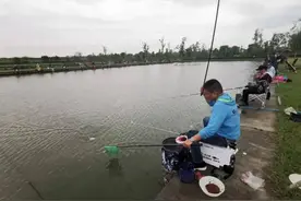 疫情后杨浦野钓点整理推荐图片