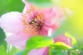 河南你早丨2023河南专升本录取分数线公布；新版预防接种证启用图片