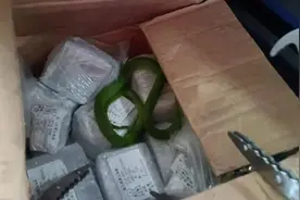 好危险！安徽一工厂惊现毒蛇竹叶青！有多毒？比五步蛇还强20倍？图片