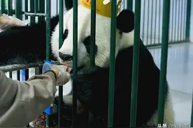 银柯14岁生日快乐！礼物收到手软！！图片