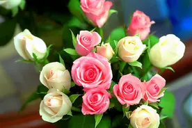 朋友关系再好，如果出现这几种情况，最好是断交图片