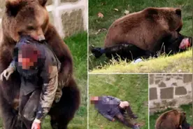 一命偿一命？为什么要杀掉吃了人的熊？不杀会有什么后果？图片