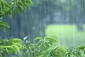 雨水的功效与作用图片