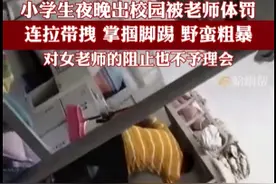 保护弱势群体权益的重要性：对于两名小学生遭受虐待的事件的深思图片