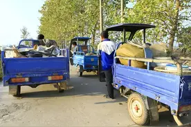 3款载重型三轮车、性价比高更耐用，主打乡镇市场，适合农用拉货图片