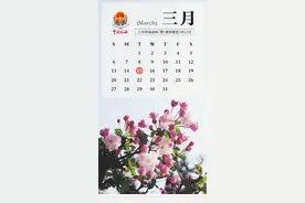 3月征期截至15日！金税盘、税控盘、税务Ukey抄报税流程如下图片