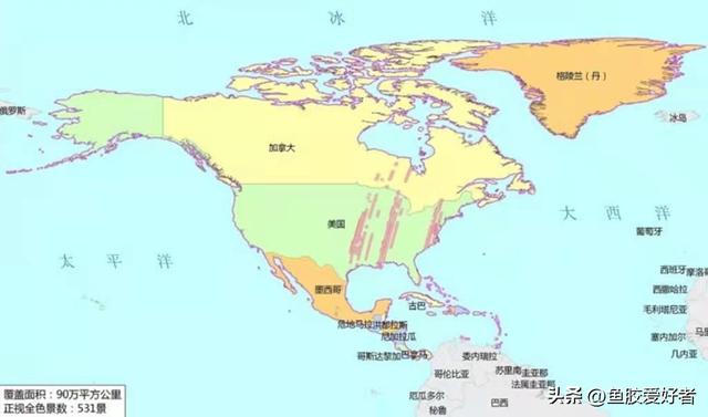 那里的花胶最好 2026年哪里的花胶最好