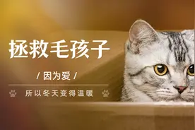 不要的旧衣服怎么处理？不如选择白鲸鱼回收，为环保公益助力图片