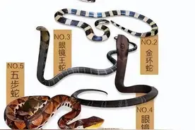 警惕！陕西已发现多起，包括一幼儿园......遇到立刻报警图片