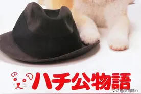 “忠犬八公”的故事，日版和美版哪一个更能触动你的心弦？图片