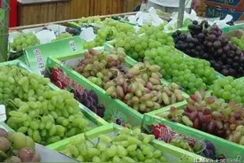 长得差不多，为何一个叫葡萄，一个叫提子？区别还挺大，别买错了图片