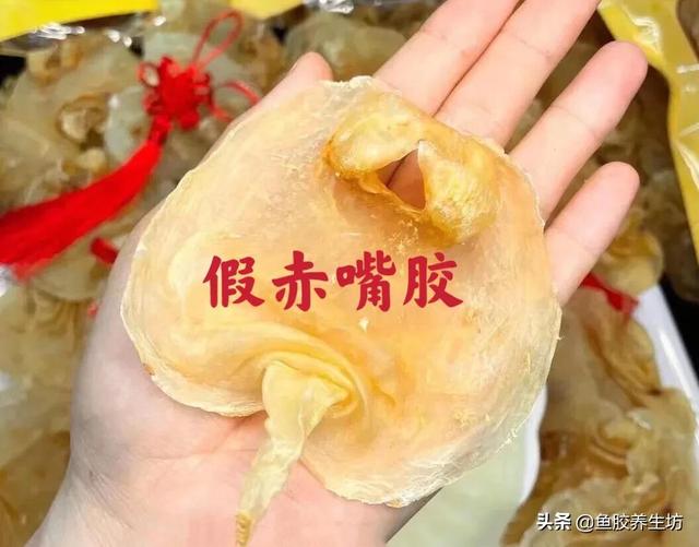 本港赤嘴鱼胶 2026年本港赤嘴鱼胶好不好