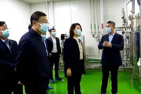 周婷带队调研凤凰镇项目建设情况图片