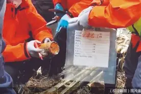 东航坠机救援现场发现部分飞机及遗体残骸图片