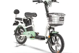 爱玛电动车如何根据故障代码快速找到问题？轻易不外传的方法教你图片