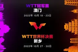 乒乓球国际赛事再次落地河南！WTT世界杯决赛10月27日在新乡举行图片