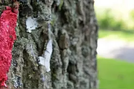 「高情商心理测试」测一测你真的会说话吗！不准来捶我图片