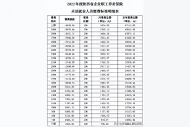 2022年度陕西省企业职工养老保险灵活就业人员缴费服务指南图片