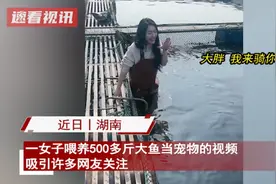 女子喂养500斤大鱼当宠物可以骑身上，鱼真的能记住她吗？图片
